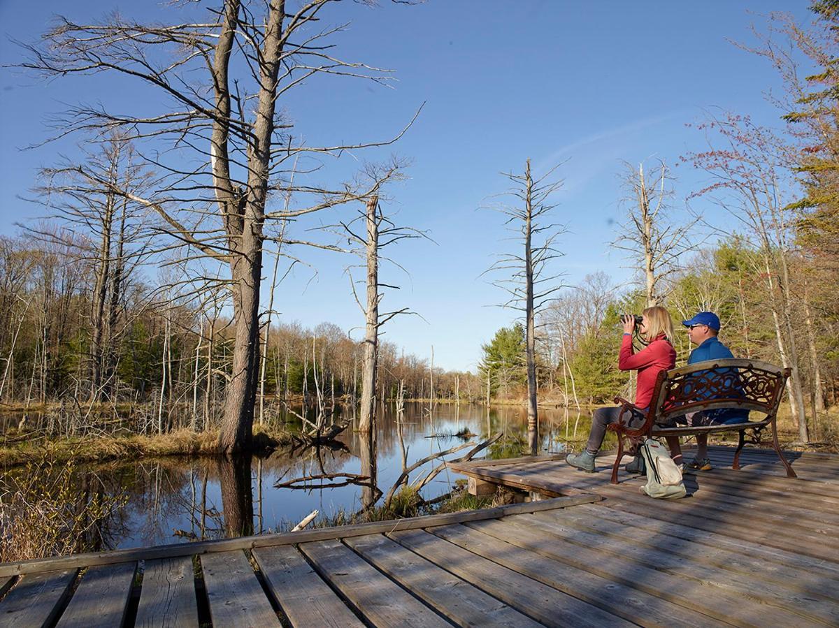 Taboo Muskoka Hotel Gravenhurst Eksteriør billede